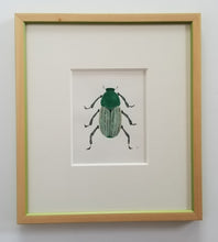 Load image into Gallery viewer, Framed Insect Painting