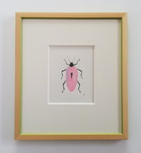 Load image into Gallery viewer, Framed Insect Painting