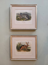 Load image into Gallery viewer, Set of 2 Audubon Octavos