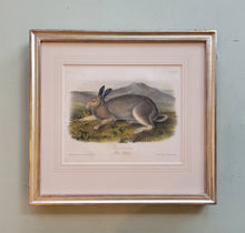 Load image into Gallery viewer, Set of 2 Audubon Octavos