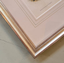 Load image into Gallery viewer, Set of 2 Audubon Octavos