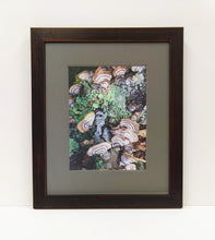 Load image into Gallery viewer, Framed Fungi Photograph