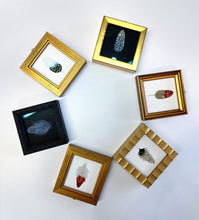 Load image into Gallery viewer, Mini Feather Painting