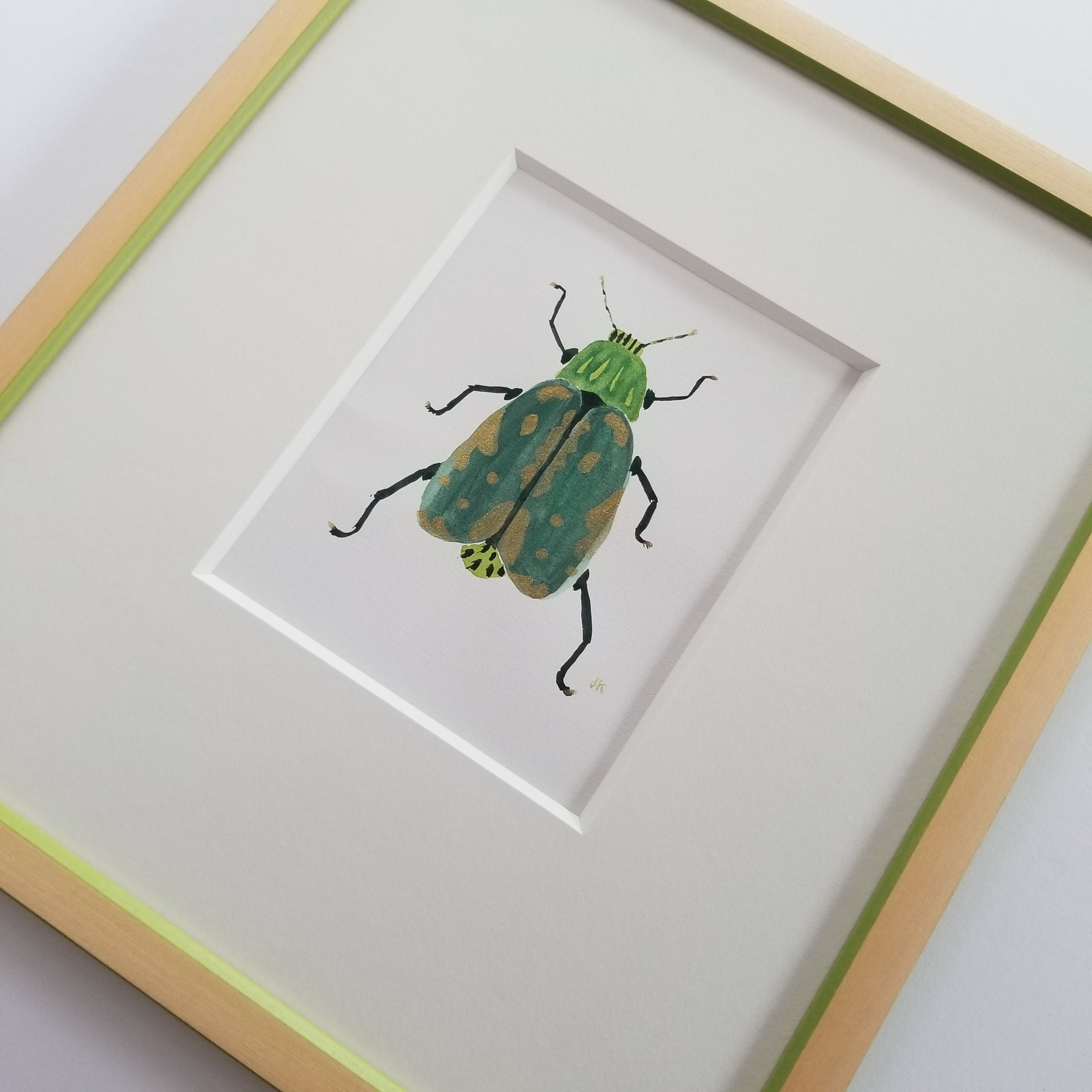 Insect Customized Framed Insect Painting – A. L. Lowe Custom Framing