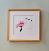 Load image into Gallery viewer, Framed Spoonbill painting

