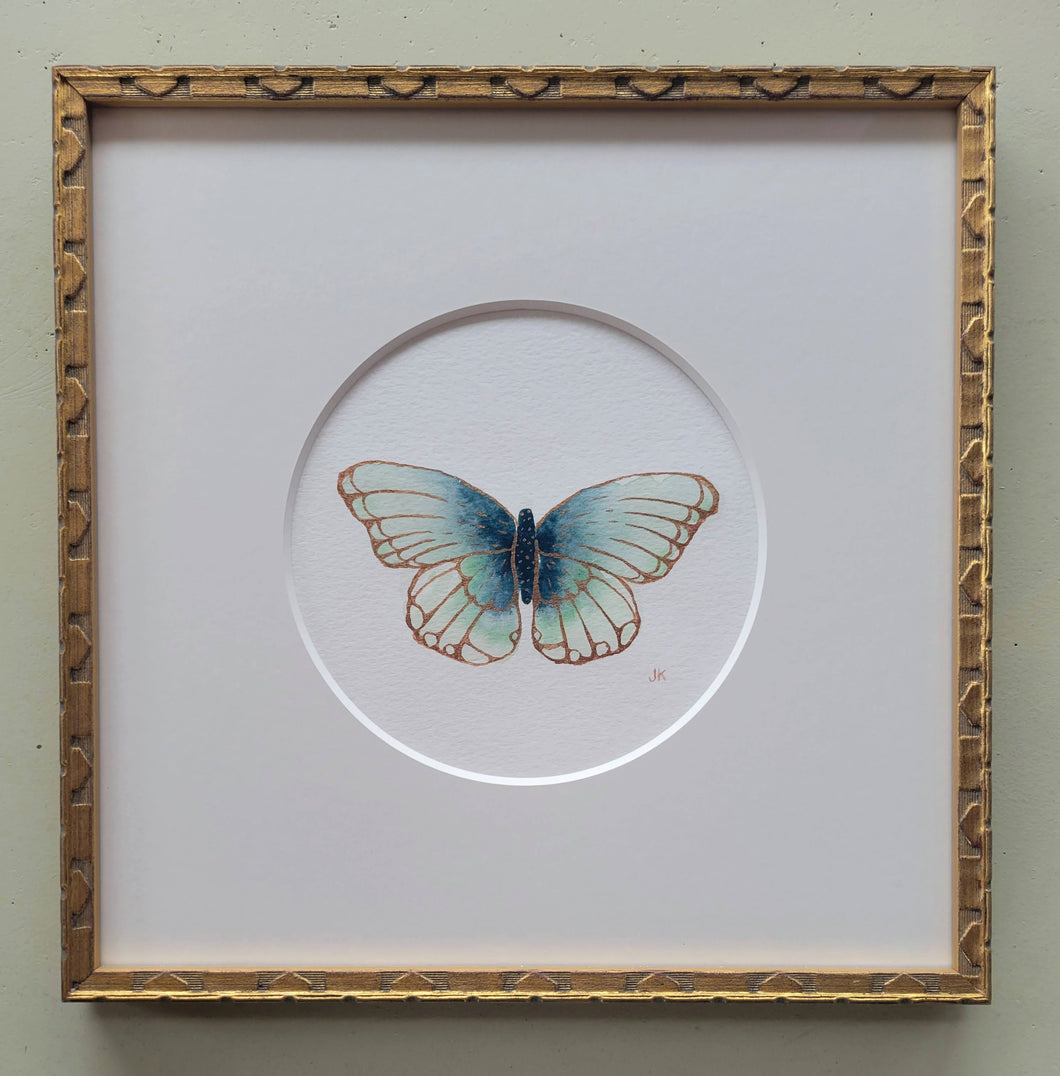Framed butterfly painting