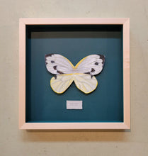 Load image into Gallery viewer, Framed butterfly art
